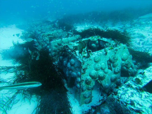 Australia patented “Abalone Habitat Reef” is a good example of purpose-built artificial reef